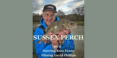 Obsessed Angler Sussex Perch.jpg